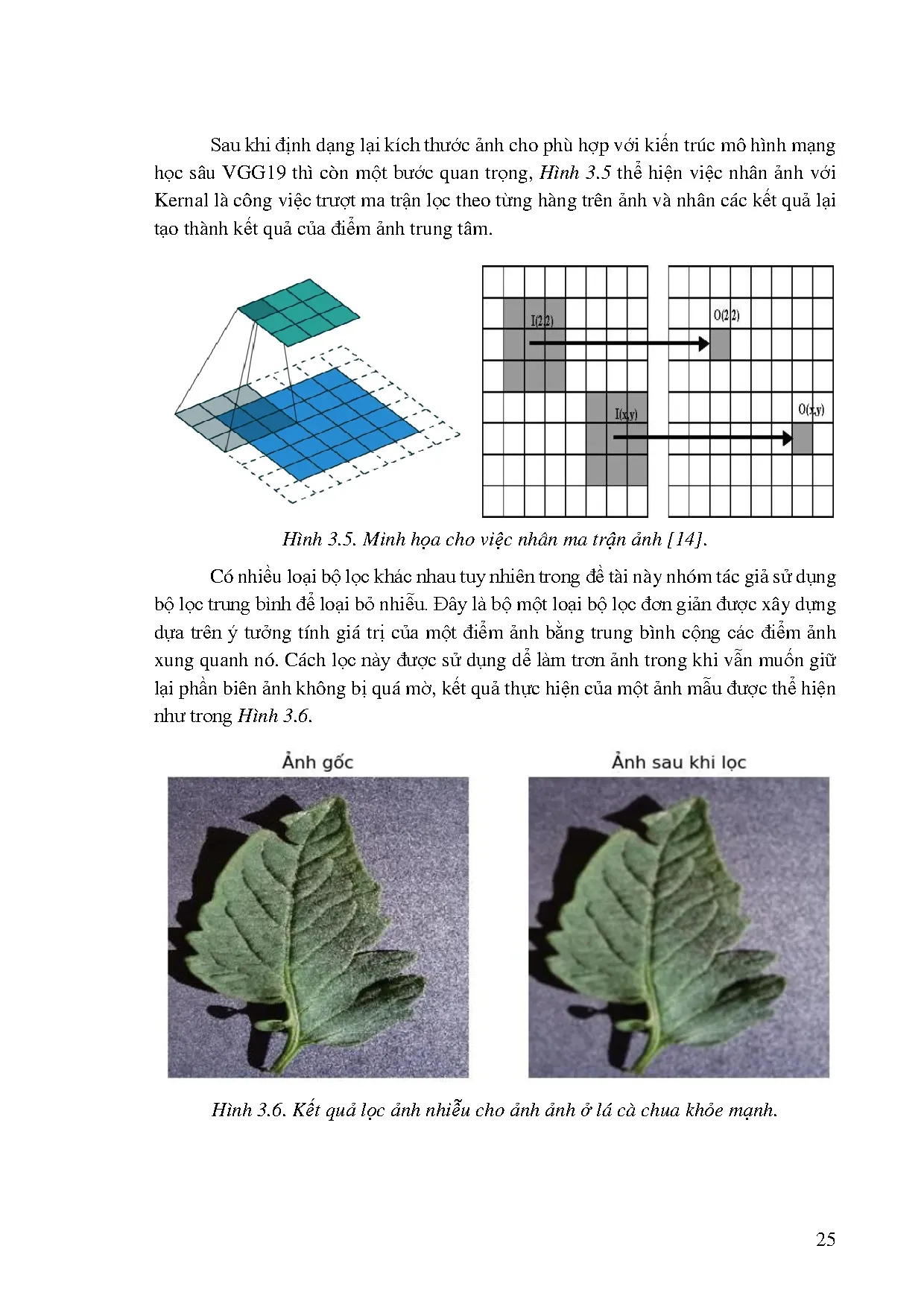Đồ án tốt nghiệp - Ứng dụng mô hình mạng học sâu CNN trong phân loại bệnh lá trên cây cà chua TQỨDA - Trang 39