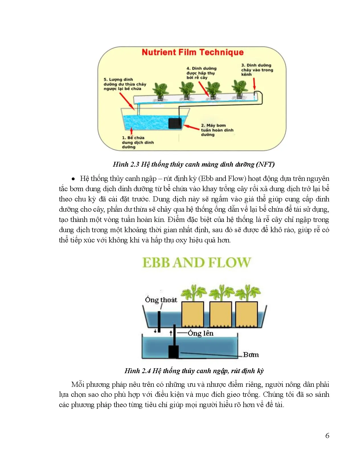 Đồ án tốt nghiệp - Thiết kế và thi công mô hình trồng rau thủy canh trong nhà kính ứng dụng IOT - Trang 18
