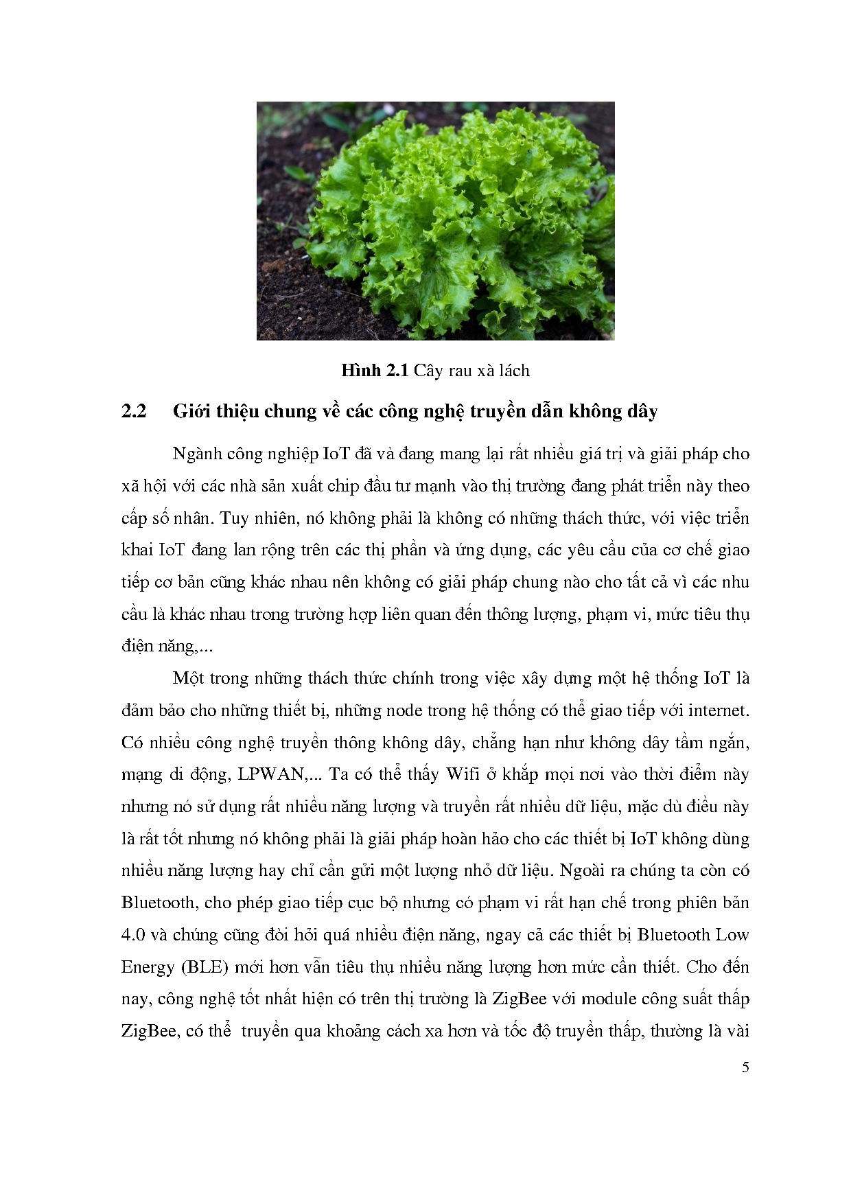 Đồ án tốt nghiệp - Ứng dụng IOT trong thiết kế và thi công hệ thống trồng rau xà lách - Trang 20