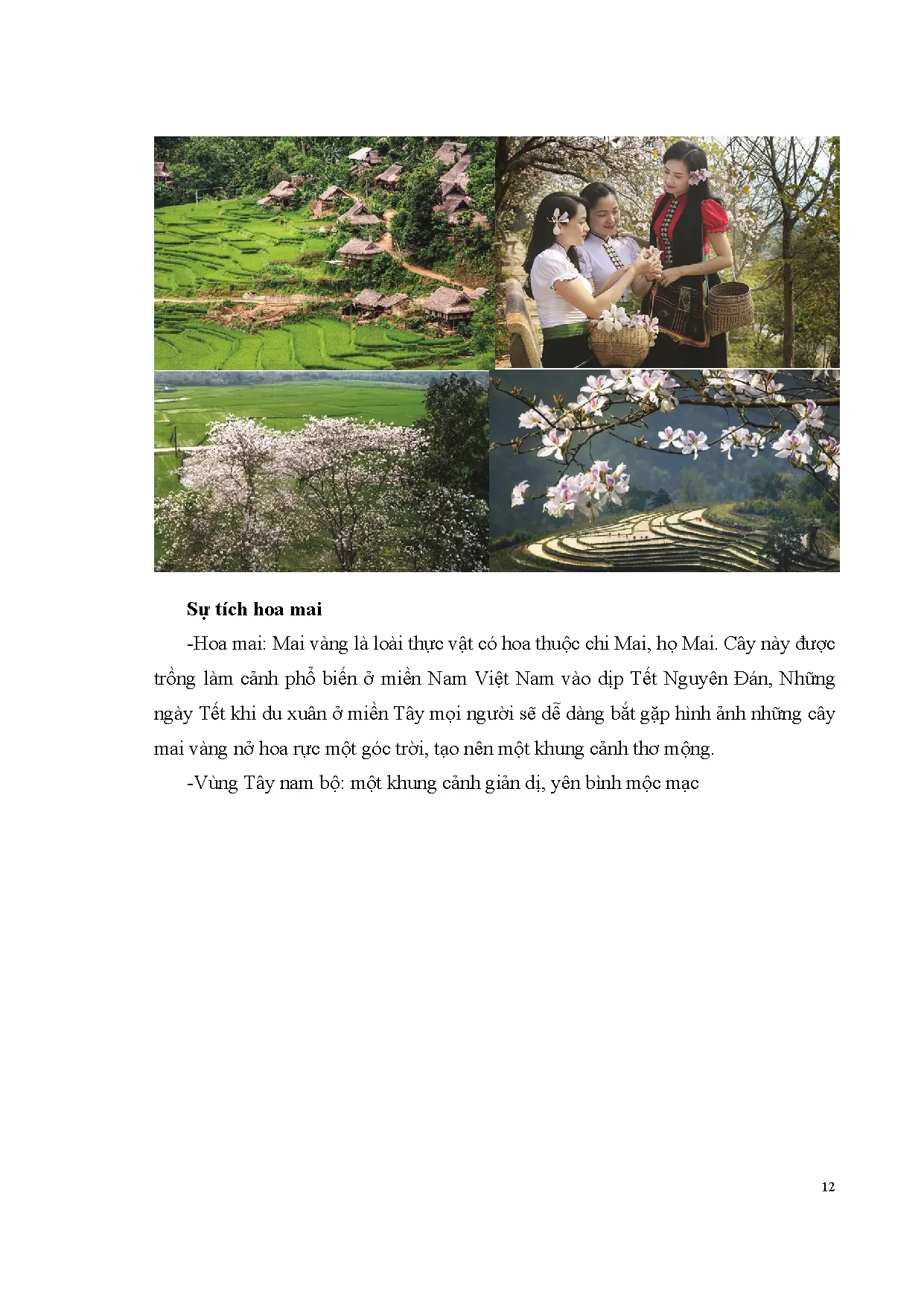 Đồ án tốt nghiệp - Minh họa artbook “Nàng Hoa” - Trang 26