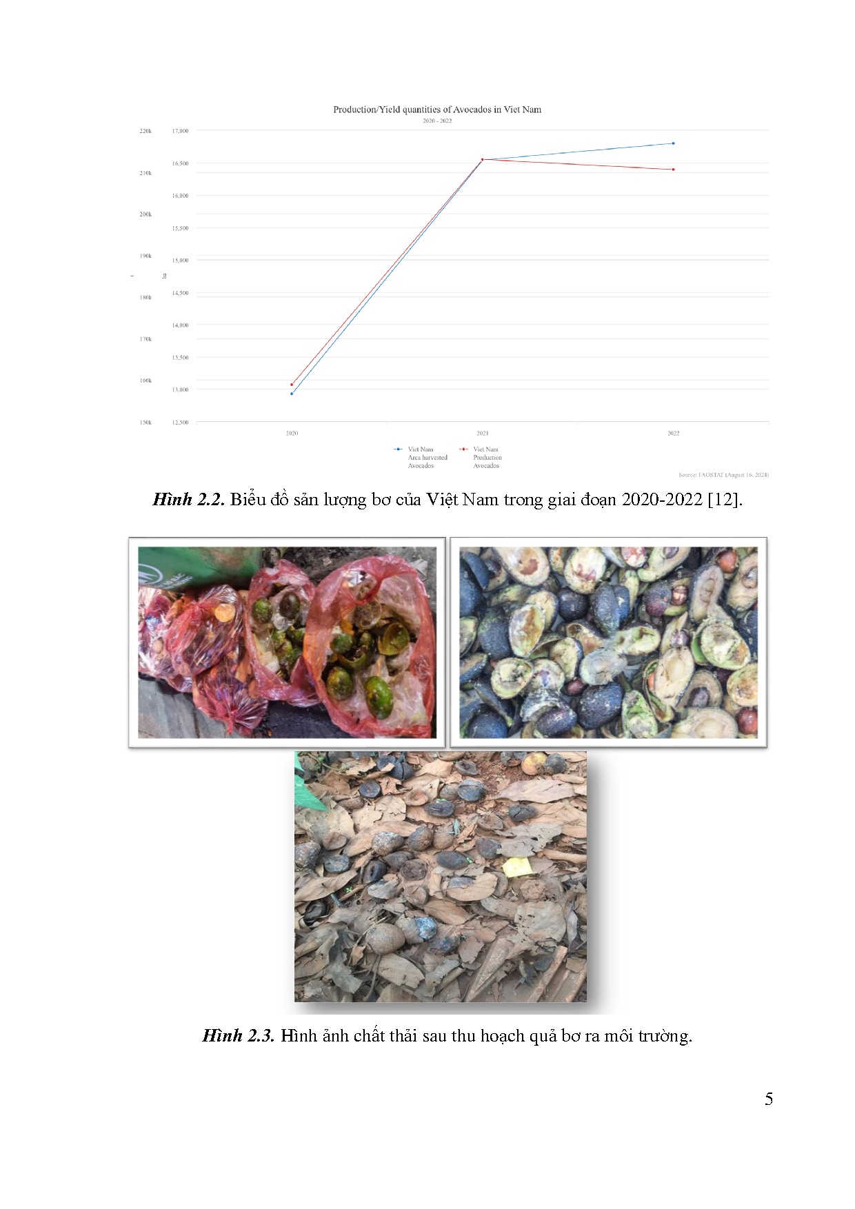 Ảnh một số trang tài liệu