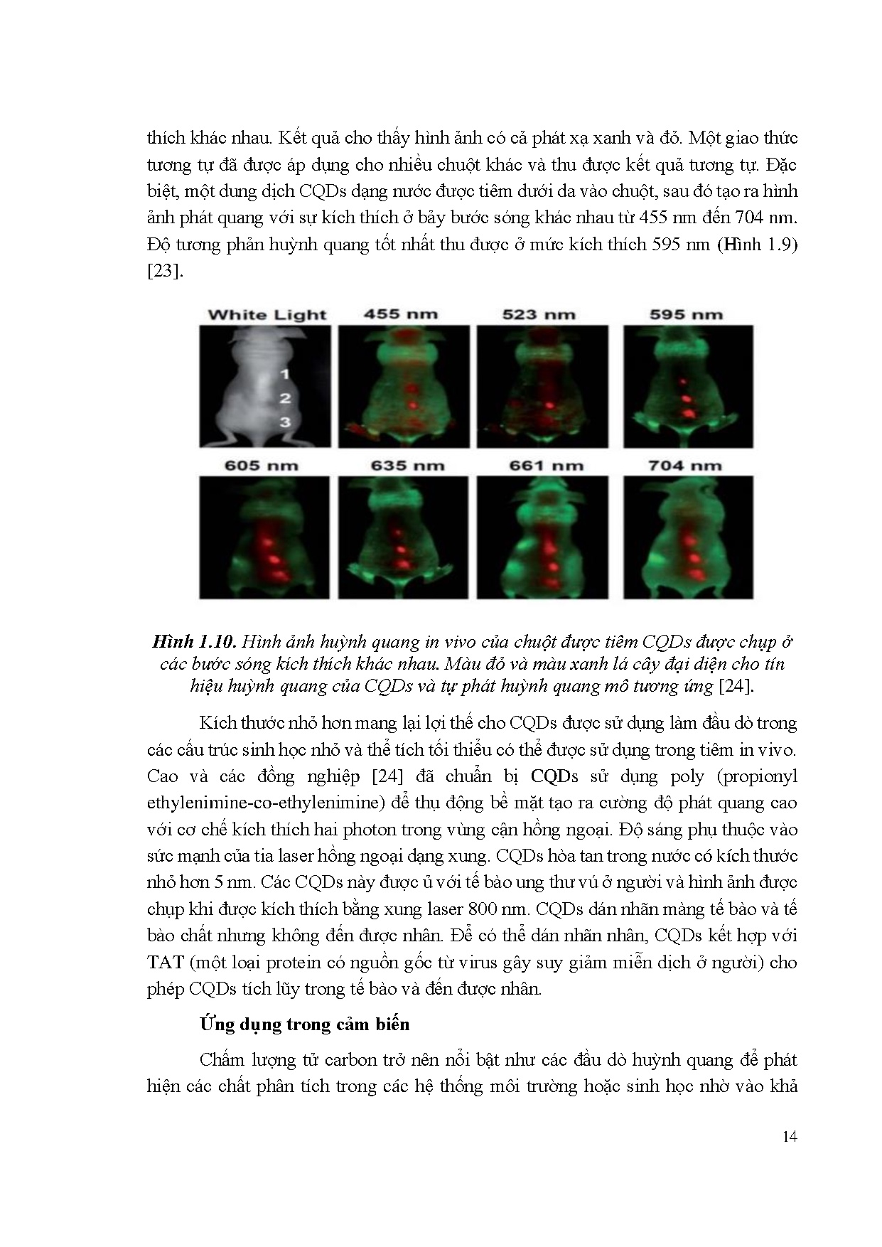 Đồ án tốt nghiệp - Tổng hợp và khảo sát tính chất quang của chấm lượng tử carbon từ nguồn phế THC - Trang 27