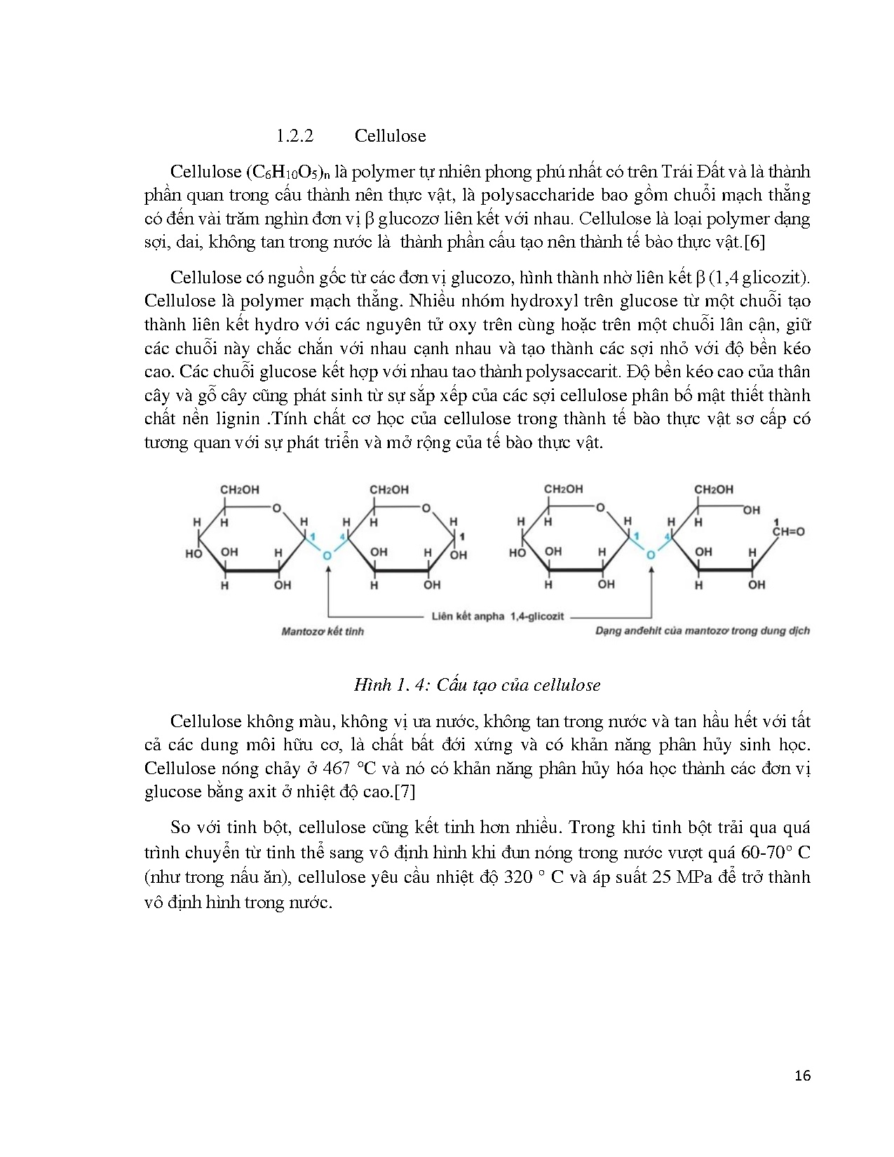 Đồ án tốt nghiệp - Nghiên cứu khảo sát đặc tính một số loài tre Việt Nam - Trang 16