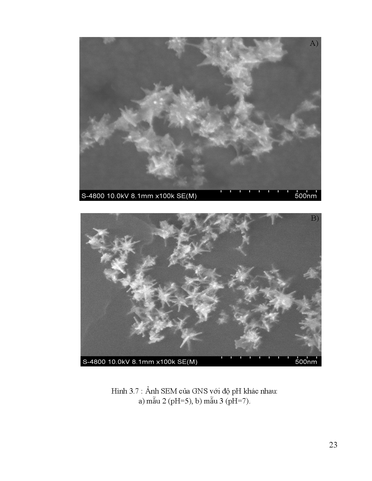 Ảnh một số trang tài liệu