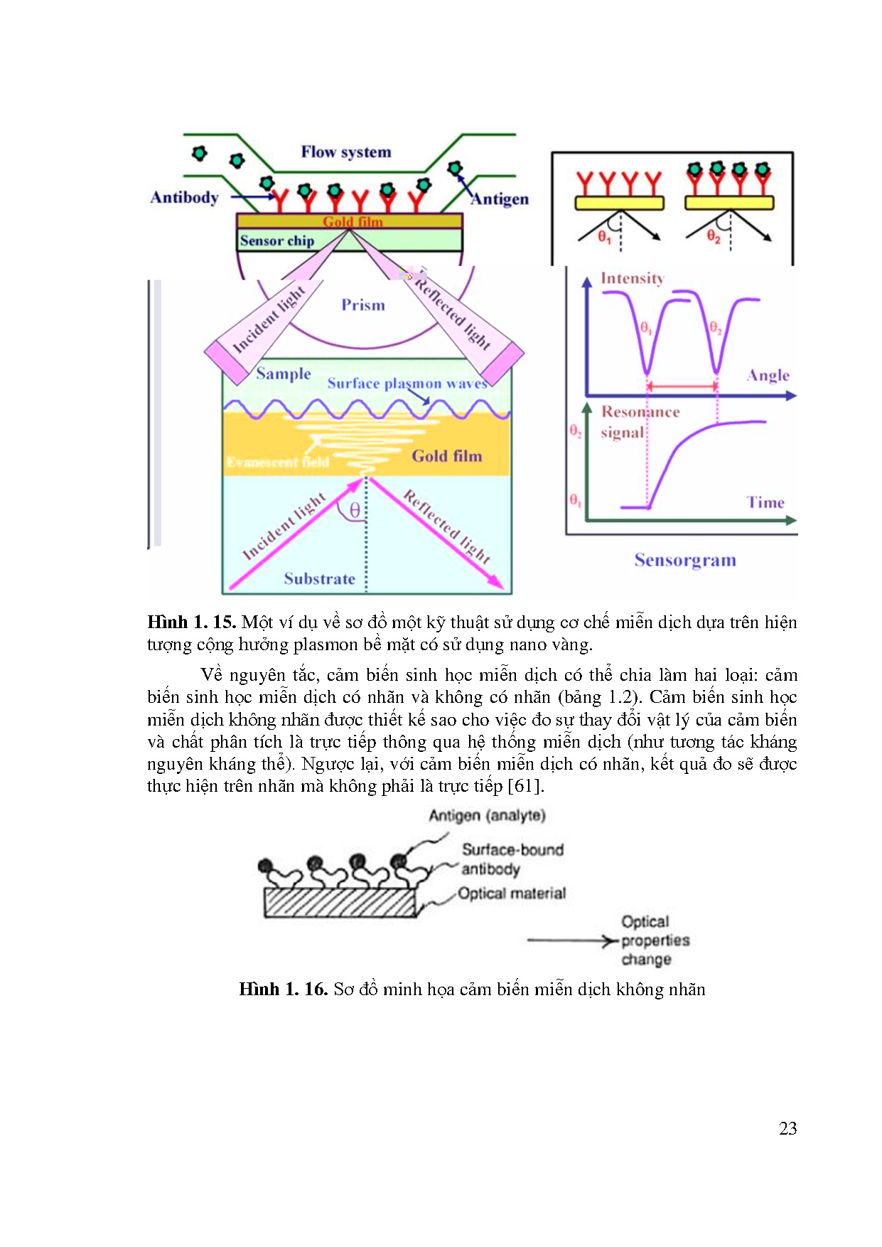 Ảnh một số trang tài liệu