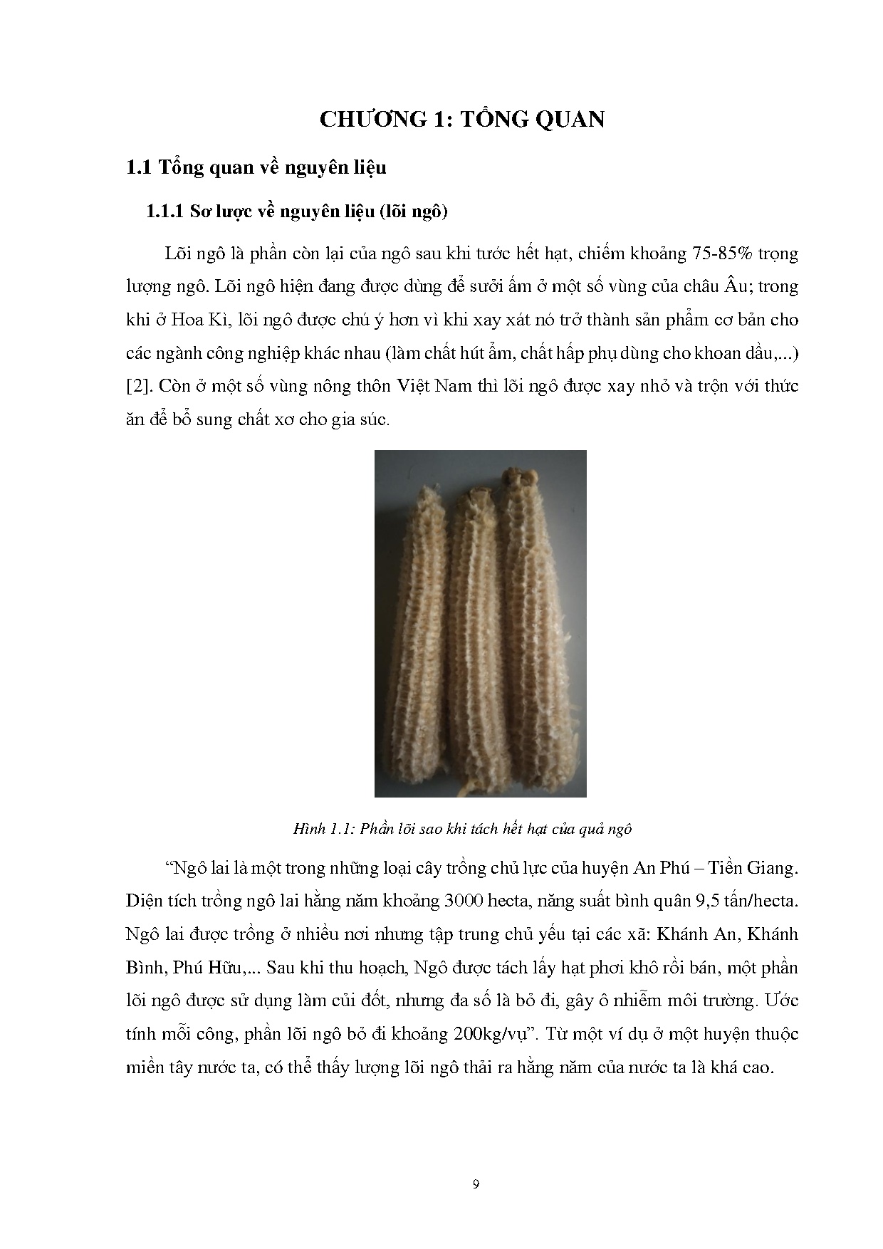 Ảnh một số trang tài liệu