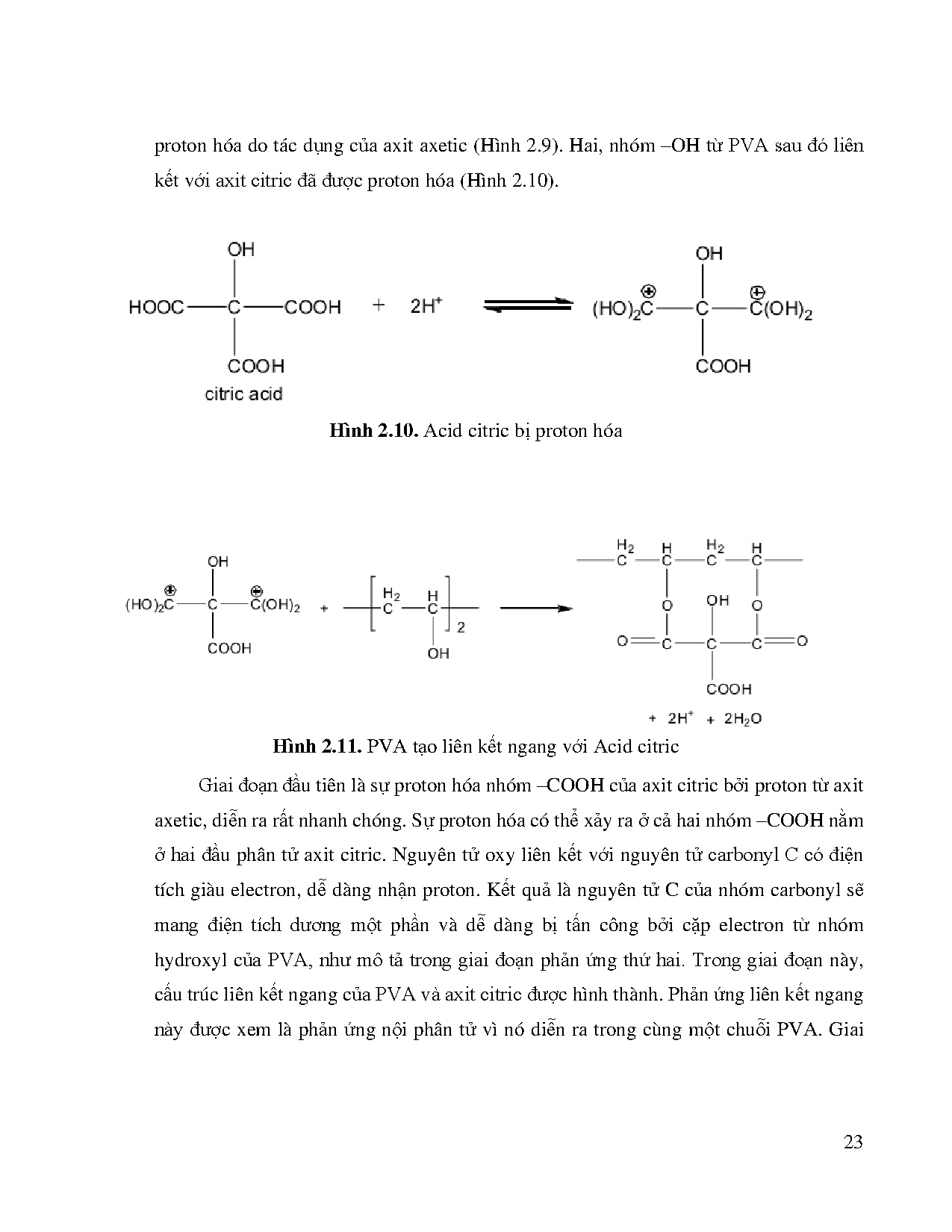 Đồ án tốt nghiệp - Nghiên cứu biến tính Poly Vinyl Alcohol tăng khả năng chịu nước - Trang 41