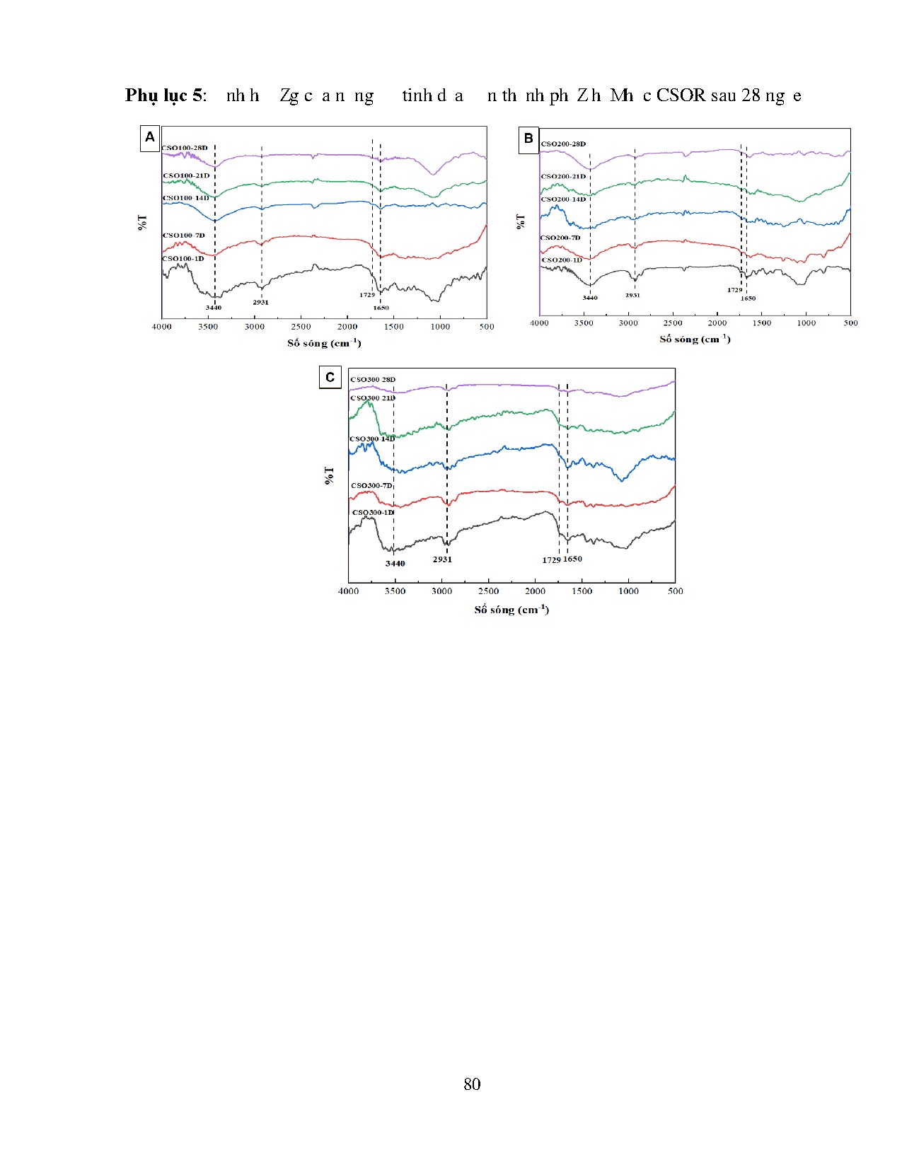 Đồ án tốt nghiệp - Nghiên cứu chế tạo hạt composite microcapsule từ chitosan và tinh DSCHTỨDLCĐMHC - Trang 97