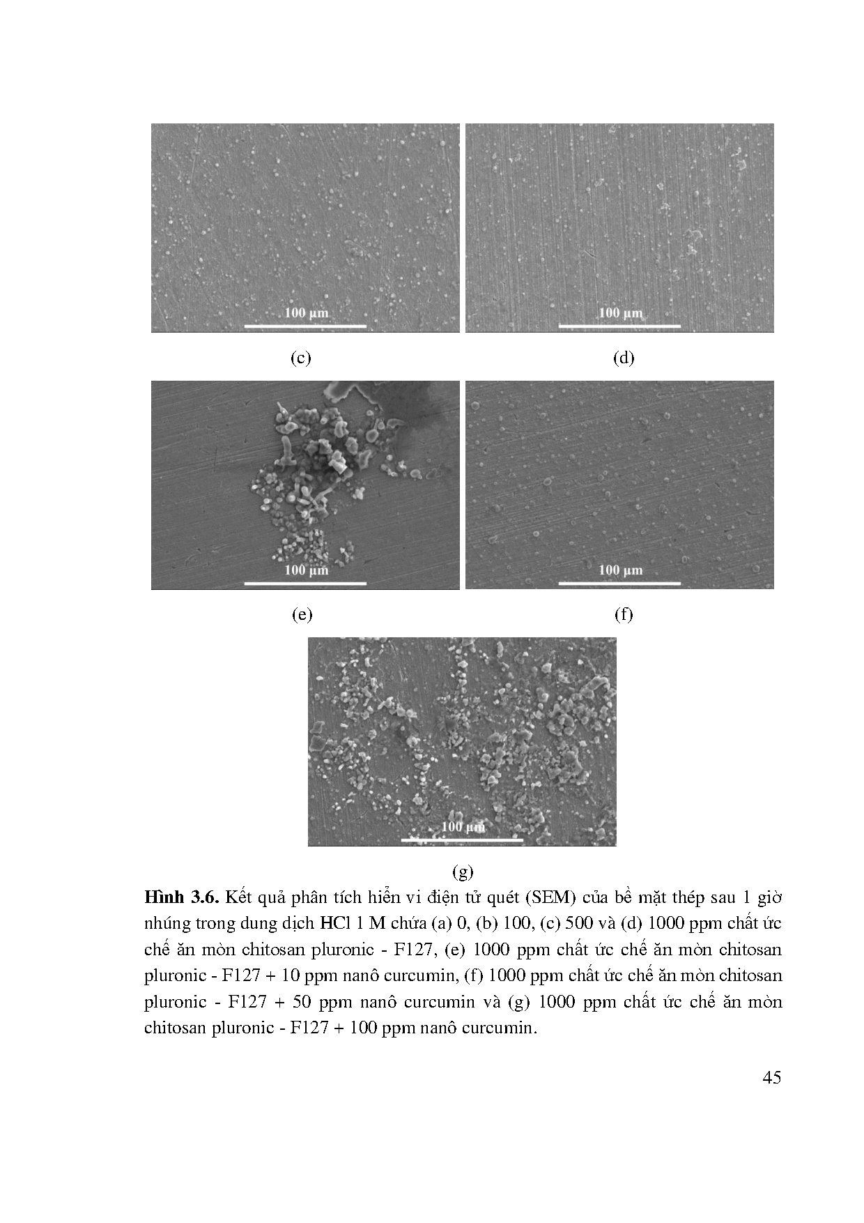 Đồ án tốt nghiệp - Nghiên cứu tương tác của Chitosan Pluronic - F127 và Nano Curcumin với TCTDDAC . - Trang 63