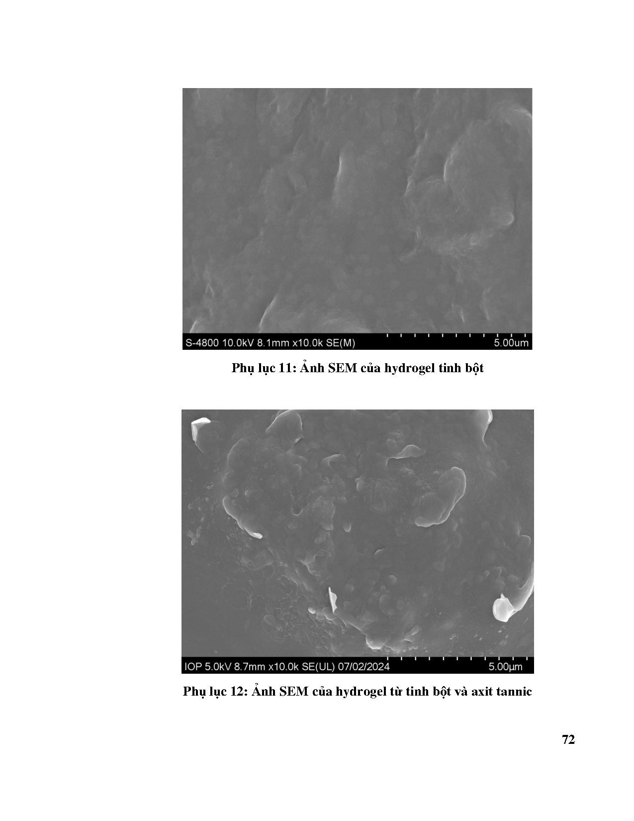 Đồ án tốt nghiệp - Nghiên cứu chế tạo Hydrogel dựa trên tinh bột hạt mít ứng dụng làm keo dán GTTVMT - Trang 93