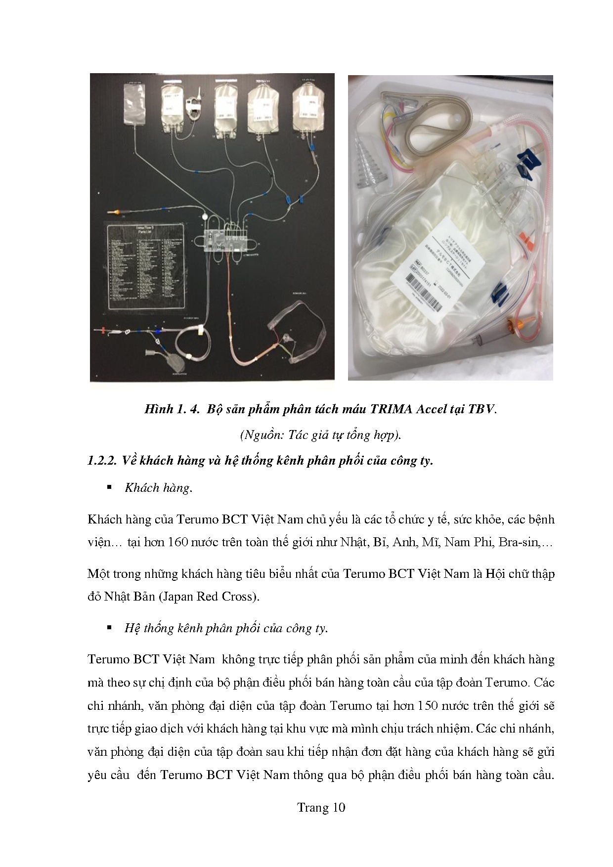 Ảnh một số trang tài liệu