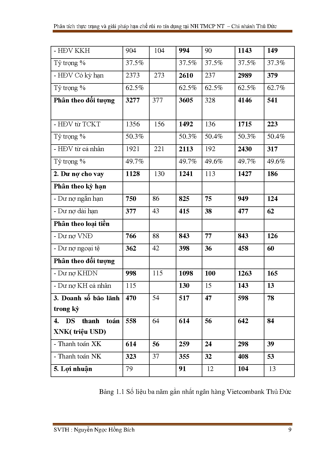 Đồ án tốt nghiệp - Thực trạng và giải pháp phòng ngừa hạn chế rủi ro tín dụng tại NHTMCPNTVN - CNTĐĐ - Trang 25