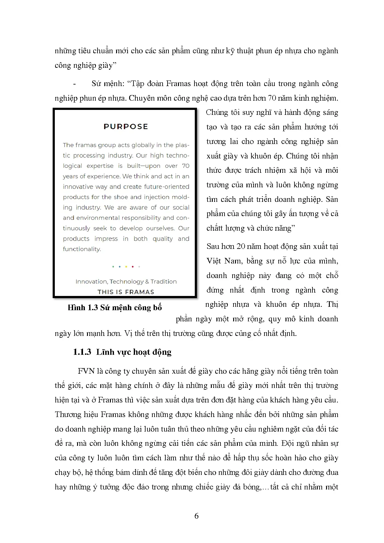 Đồ án tốt nghiệp - Đề xuất giải pháp nhằm giảm thiểu lãng phí nguyên liệu nhựa trong QTCĐTXSXCCTTFVN - Trang 16