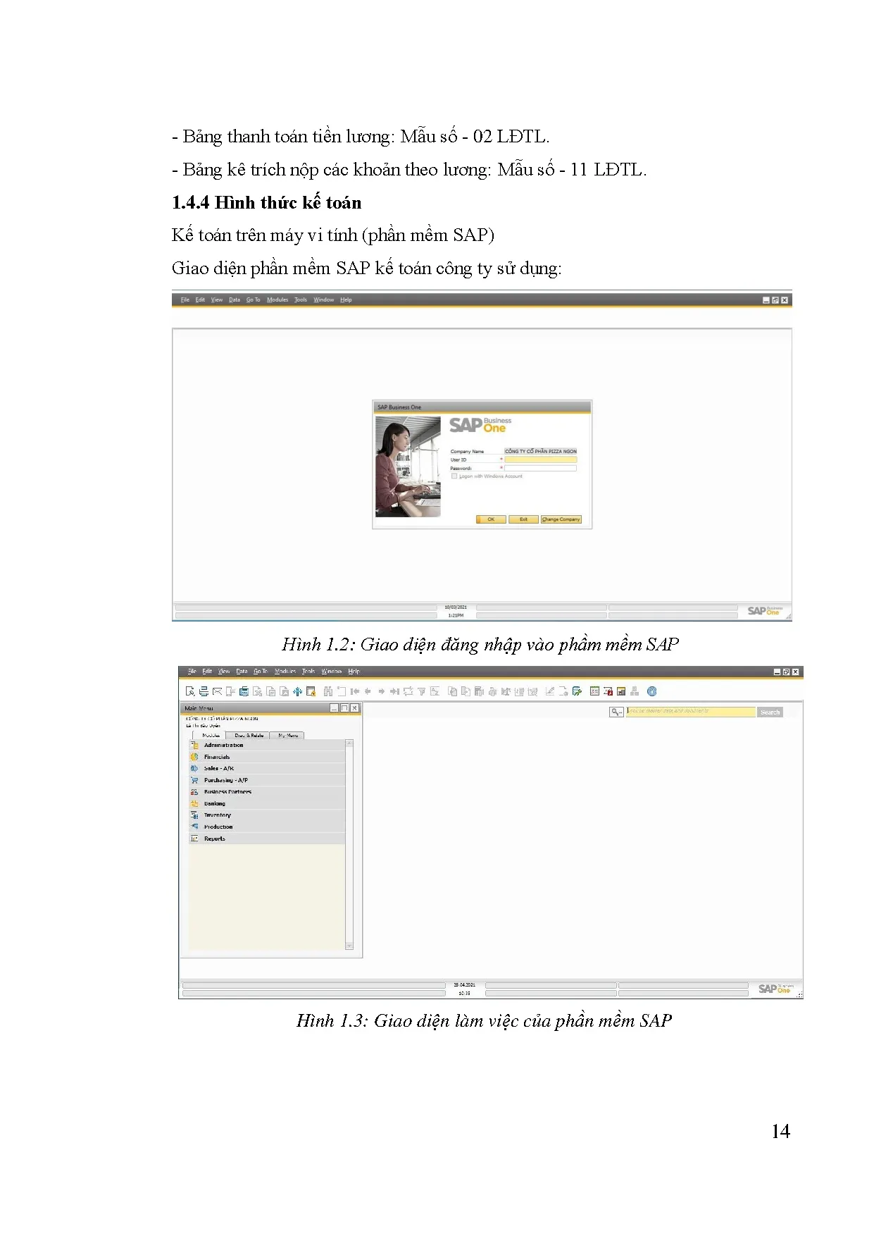 Đồ án tốt nghiệp - Kế toán doanh thu, chi phí và xác định kết quả kinh doanh tại Công ty Cổ phần PN - Trang 29