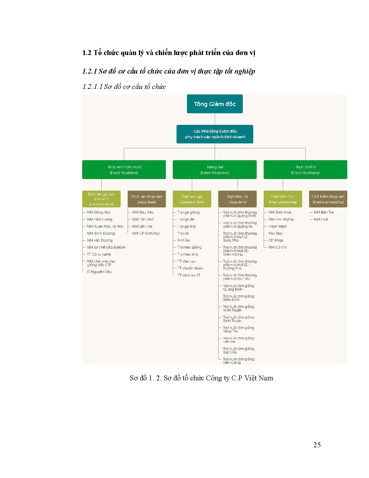Ảnh một số trang tài liệu