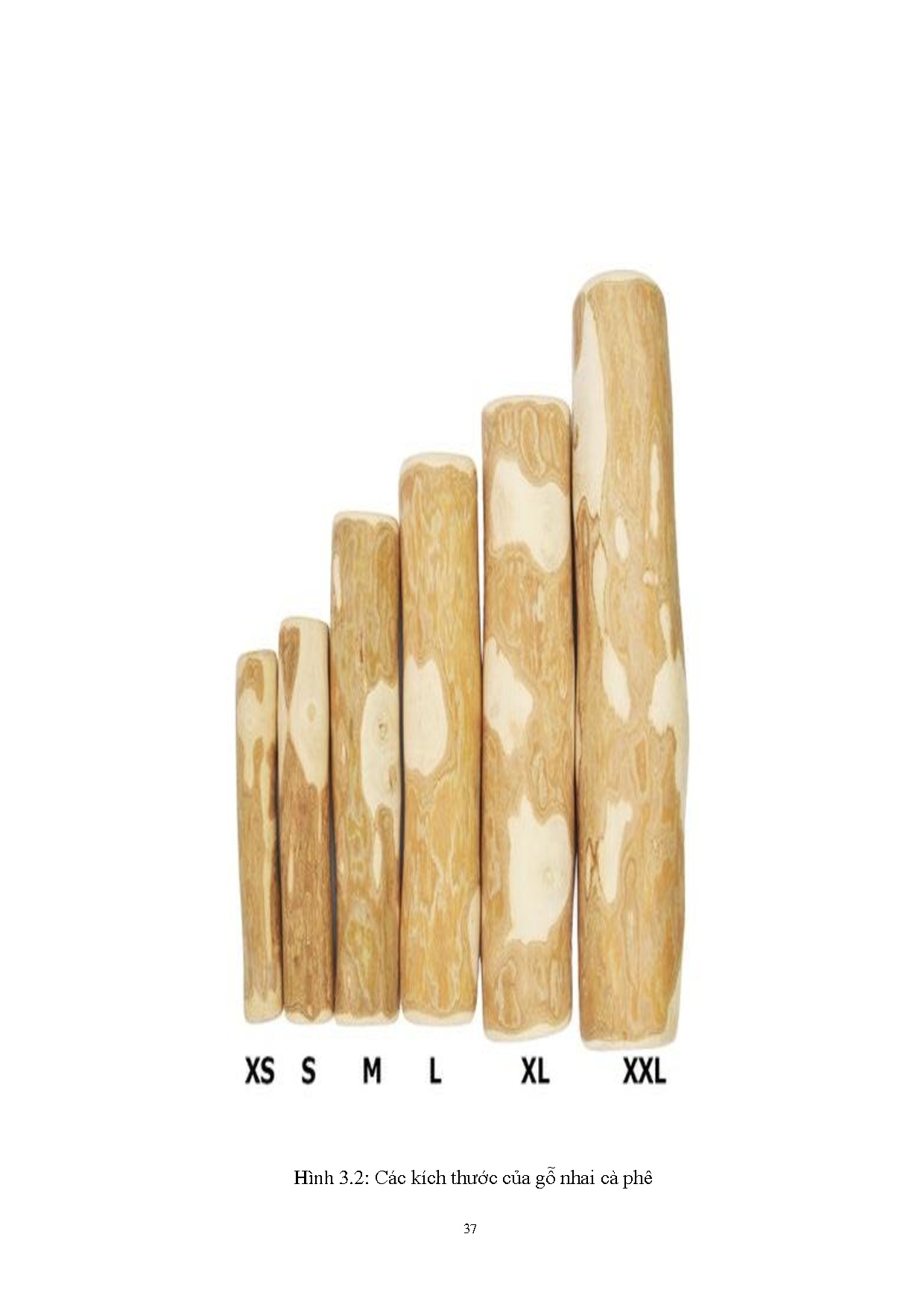 Đồ án tốt nghiệp - Hoàn thiện hoạt động xuất khẩu mặt hàng gỗ cà phê cho thú cưng tại công ty TXNKE - Trang 46