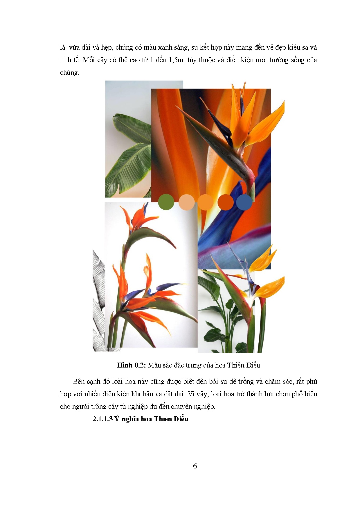 Ảnh một số trang tài liệu