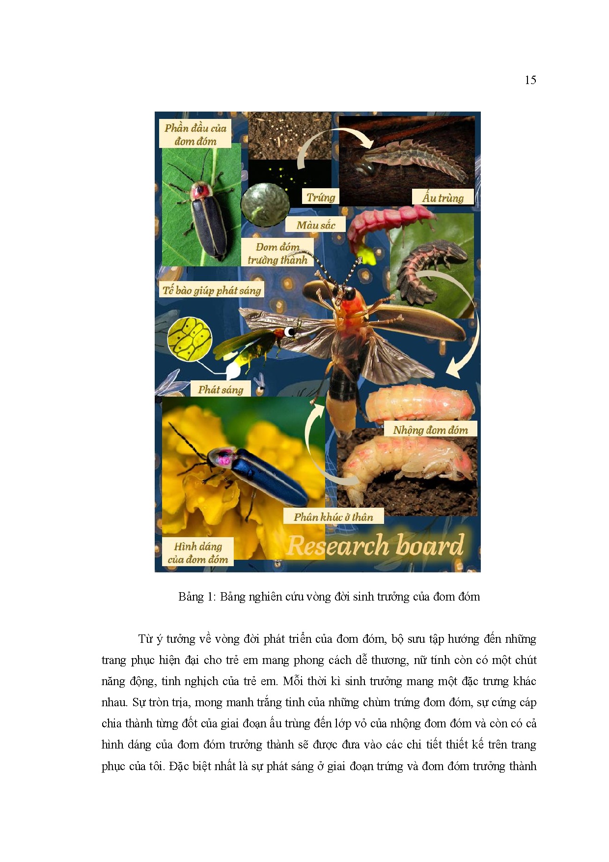 Ảnh một số trang tài liệu