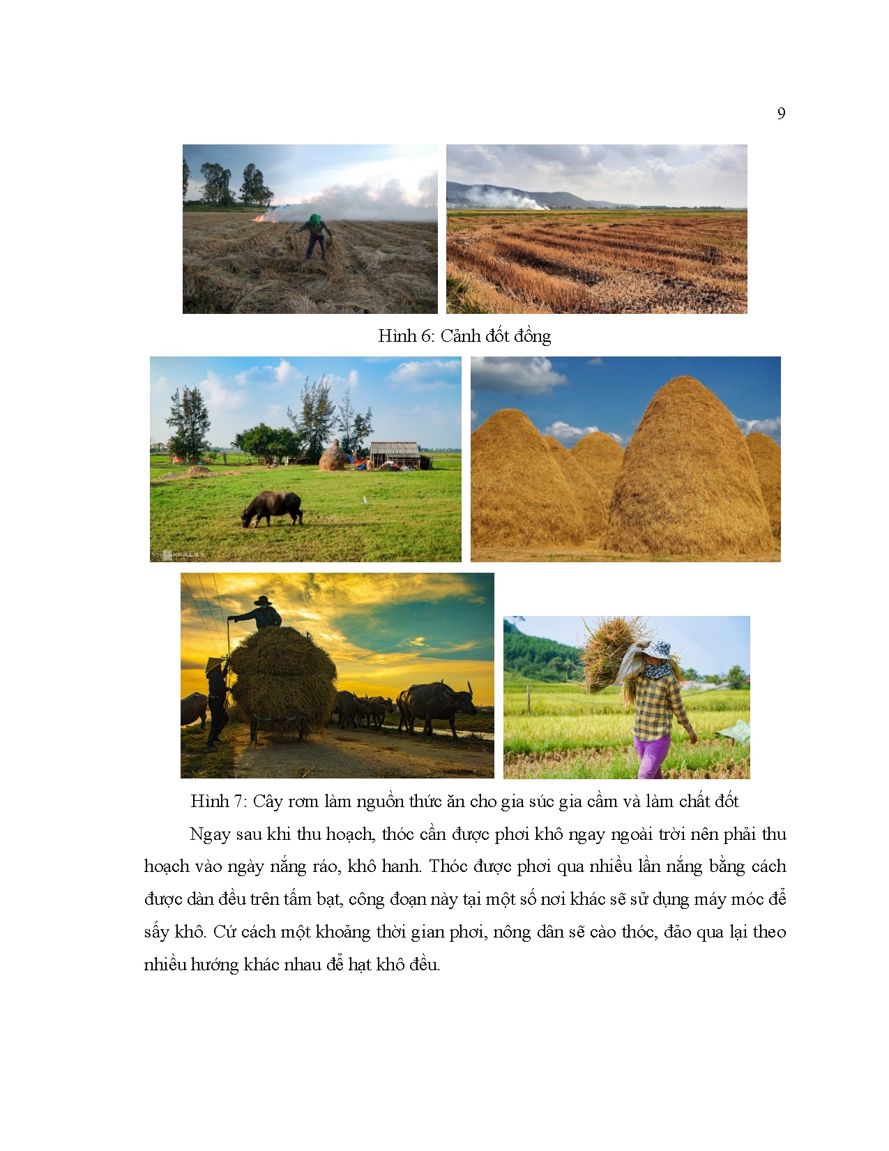 Đồ án tốt nghiệp - Thiết kế trang phục dự sự kiện dành cho nữ từ 25-35 tuổi mang phong CMLCHTMGHA - Trang 19