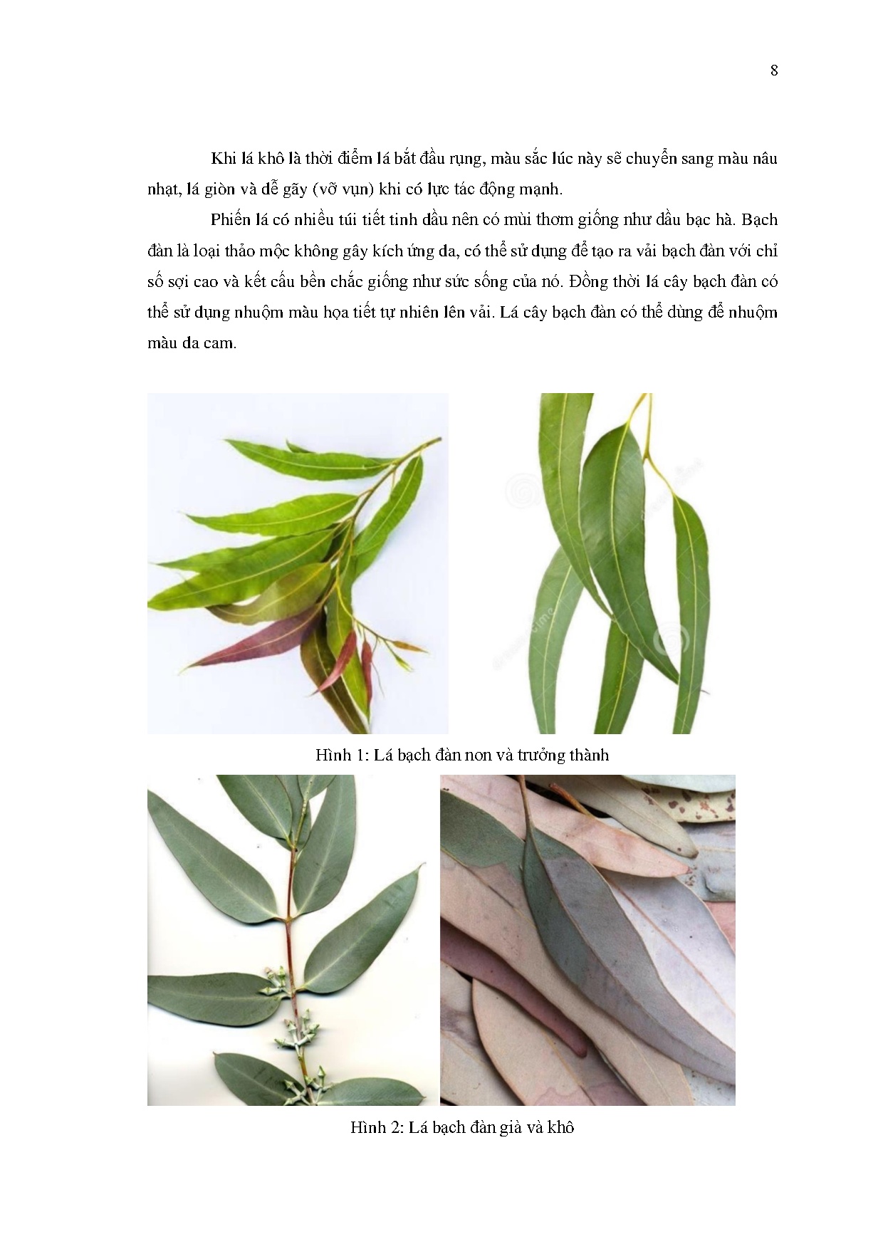 Ảnh một số trang tài liệu