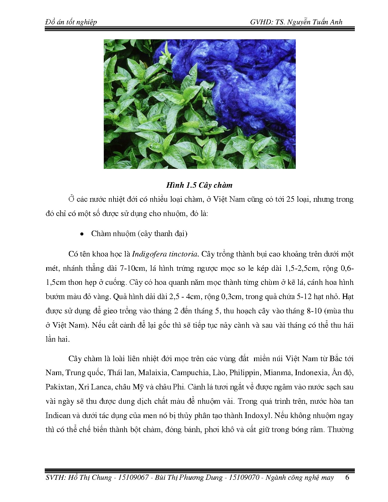 Ảnh một số trang tài liệu