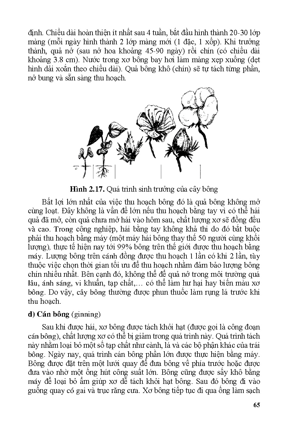 Khoa học vật liệu dệt Textile Science (HCMUTE) - Trang 66