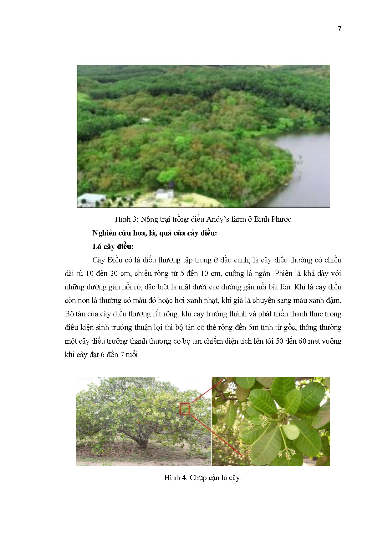 Đồ án tốt nghiệp - Thiết kế trang phục sự kiện cho nữ độ tuổi 25-30 theo phong cách GL ý TTHLVQTMĐ - Trang 18