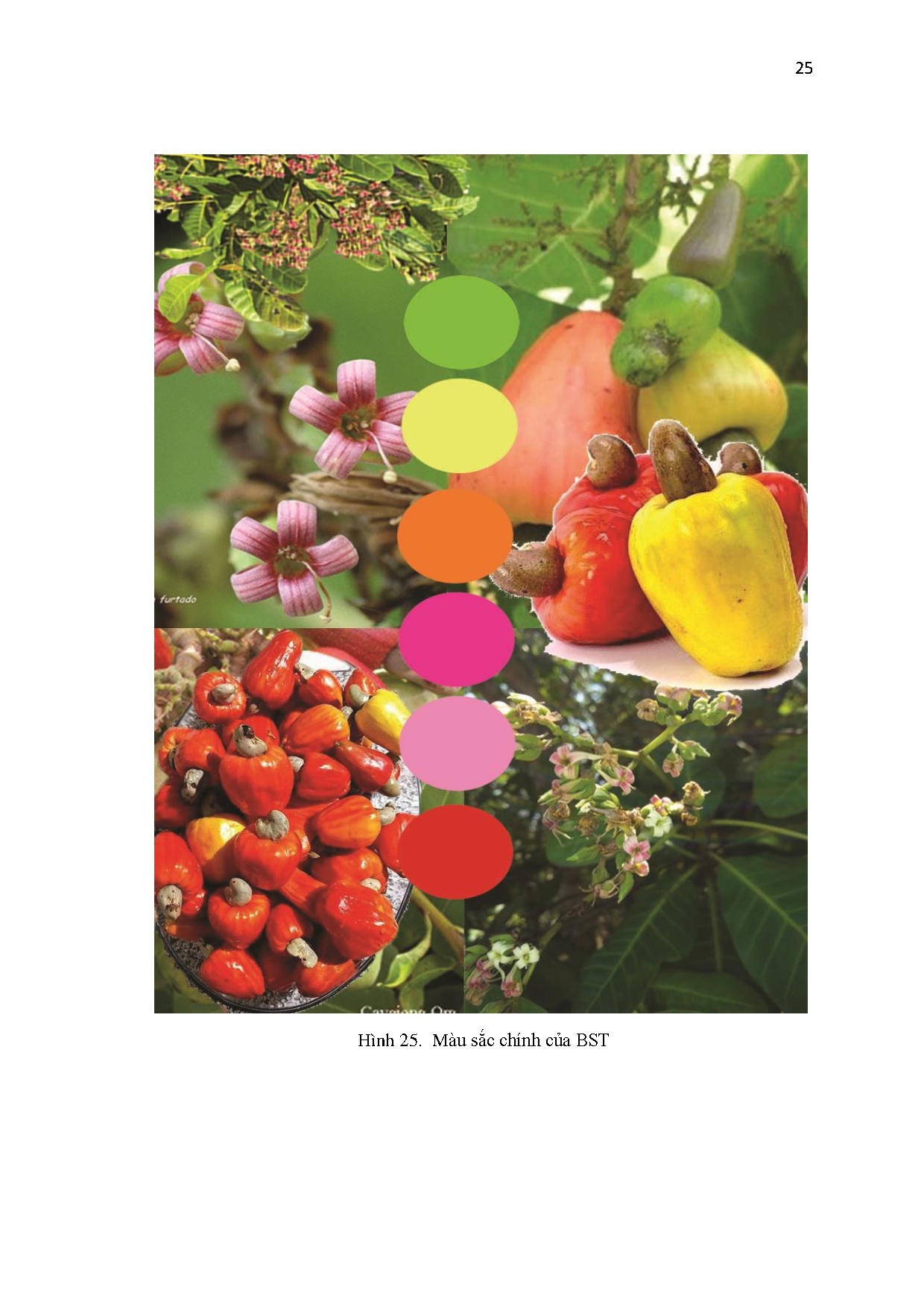 Đồ án tốt nghiệp - Thiết kế trang phục sự kiện cho nữ độ tuổi 25-30 theo phong cách GL ý TTHLVQTMĐ - Trang 36