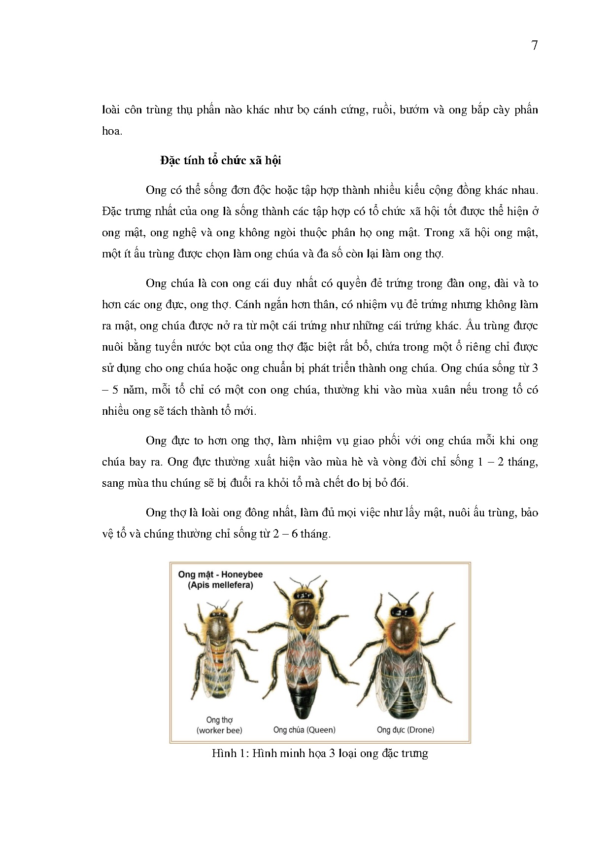 Đồ án tốt nghiệp - Thiết kế trang phục ứng dụng sự kiện phong cách Retro &amp; RDCNĐTT 2 L ý TTLO - Trang 18