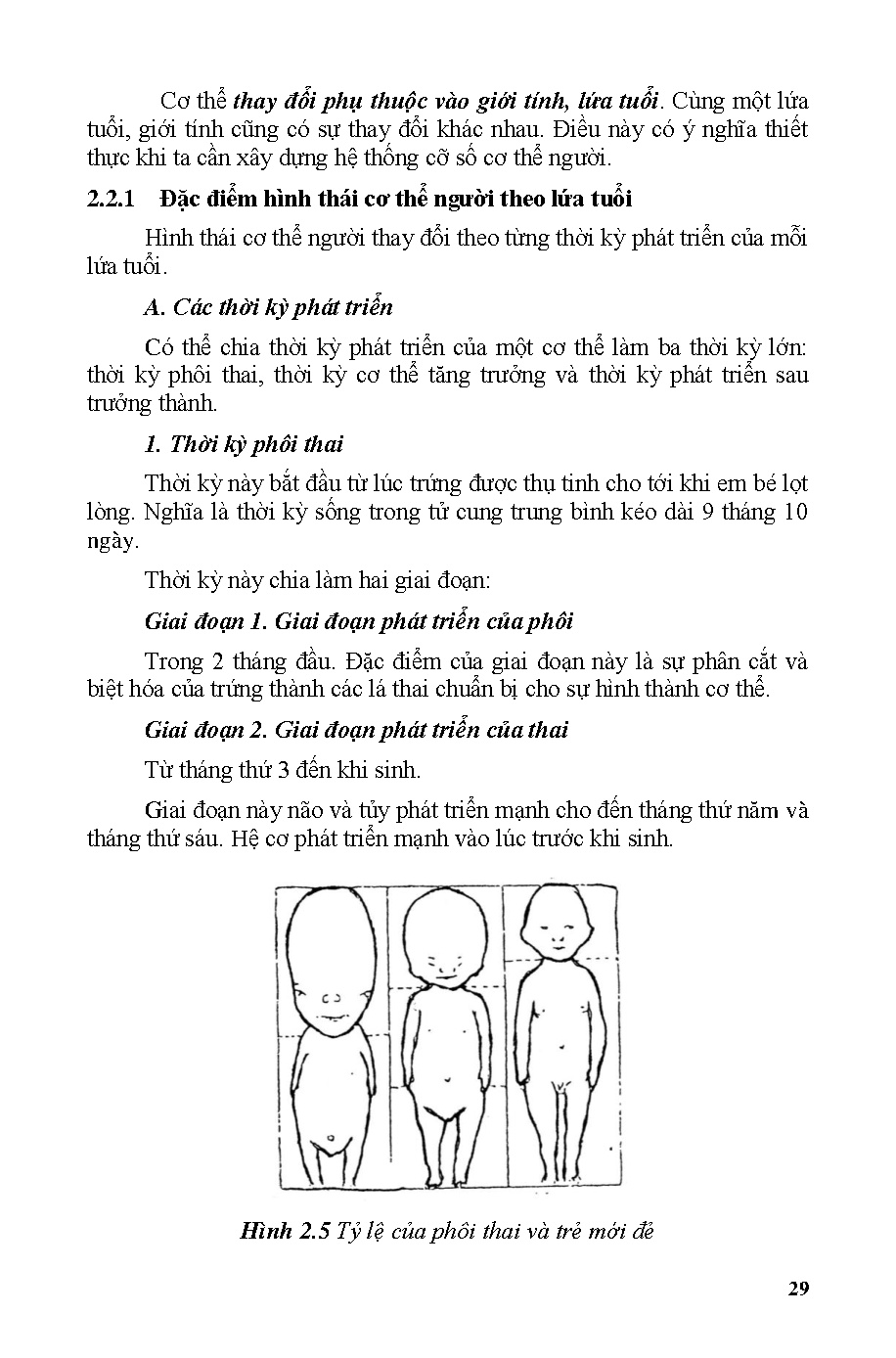 Ảnh một số trang tài liệu