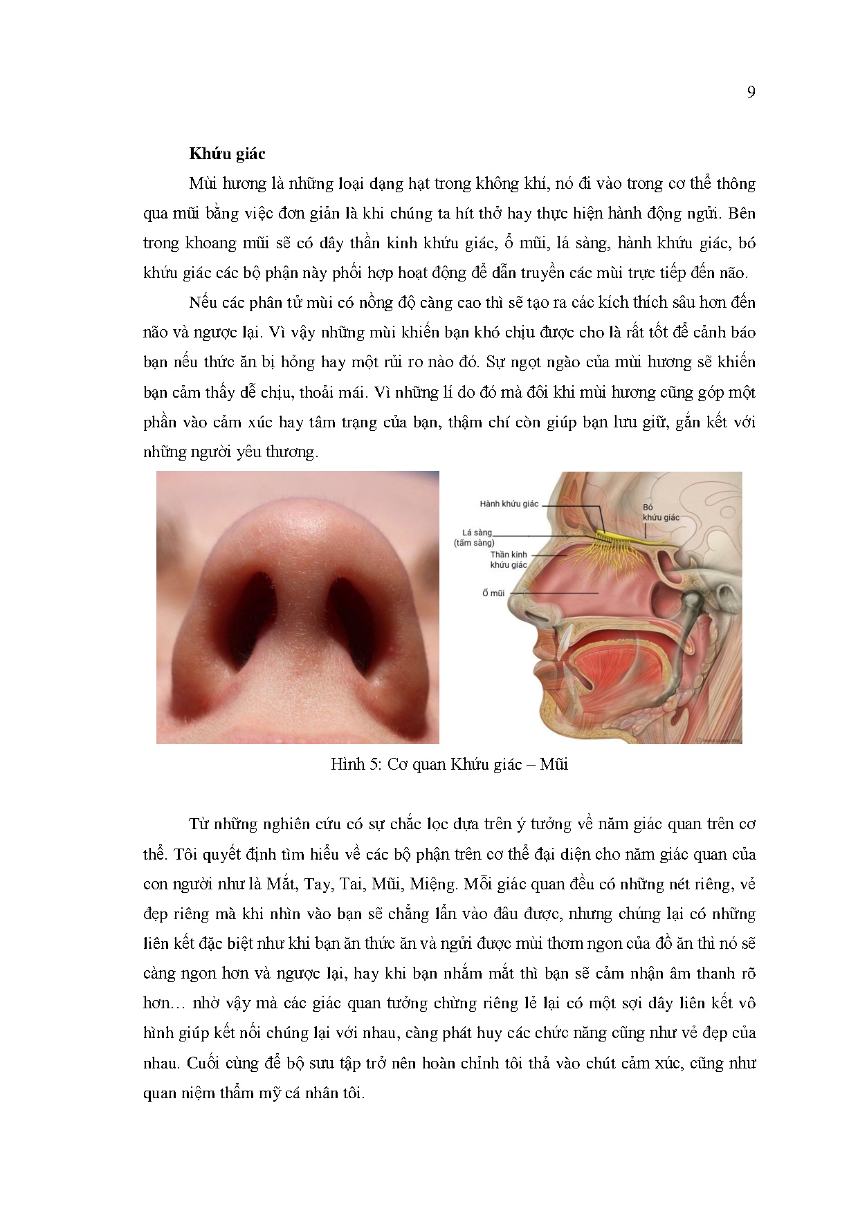 Ảnh một số trang tài liệu