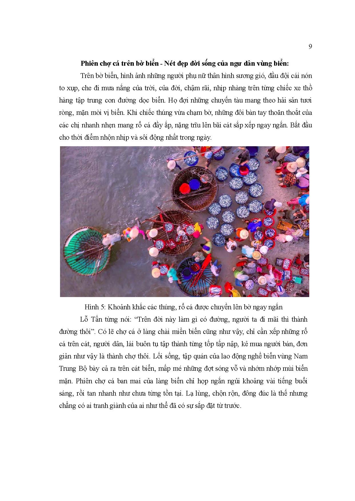 Ảnh một số trang tài liệu