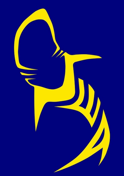 THIẾT LẬP CENTRAL REVIT